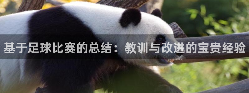  基于足球比赛的总结：教训与改进的宝贵经验