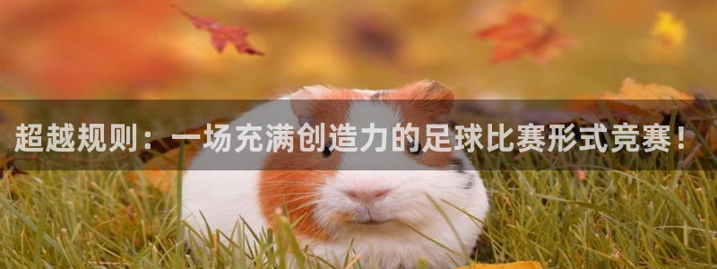 超越规则：一场充满创造力的足球比赛形式竞赛！