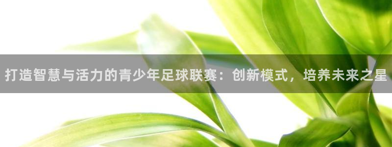  打造智慧与活力的青少年足球联赛：创新模式，培养未来之星