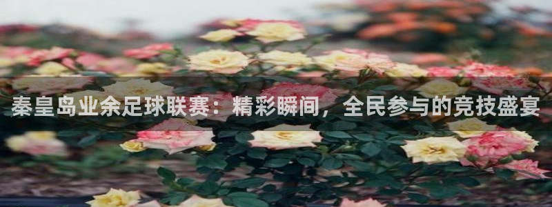  秦皇岛业余足球联赛：精彩瞬间，全民参与的竞技盛宴