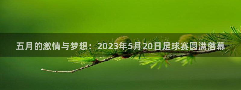 五月的激情与梦想：2023年5月20日足球赛圆满落幕