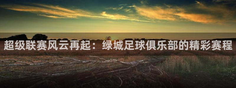  超级联赛风云再起：绿城足球俱乐部的精彩赛程