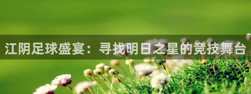  江阴足球盛宴：寻找明日之星的竞技舞台