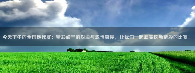 今天下午的全国足球赛：精彩纷呈的对决与激情碰撞，让我们一起欣