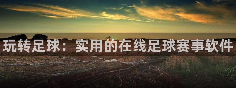 玩转足球：实用的在线足球赛事软件
