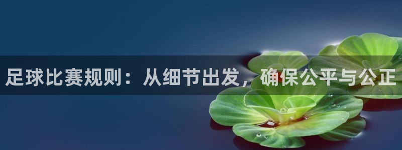 足球比赛规则：从细节出发，确保公平与公正