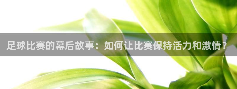 足球比赛的幕后故事：如何让比赛保持活力和激情？