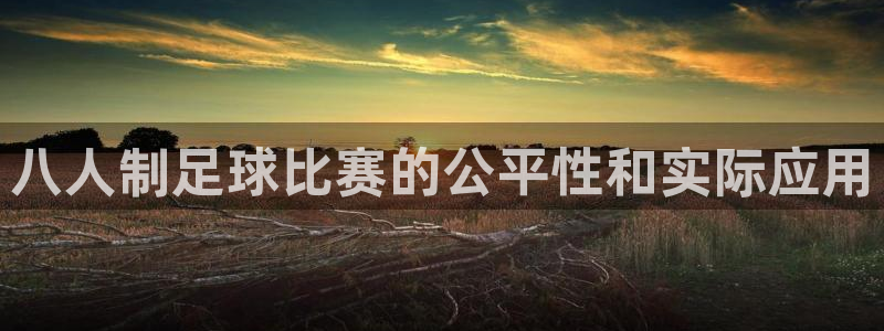 八人制足球比赛的公平性和实际应用