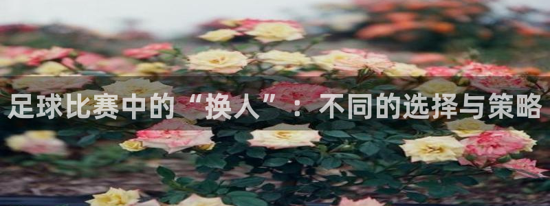  足球比赛中的“换人”：不同的选择与策略