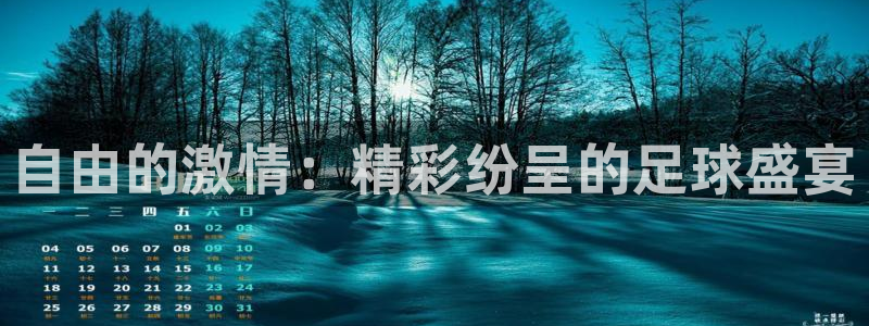  自由的激情：精彩纷呈的足球盛宴