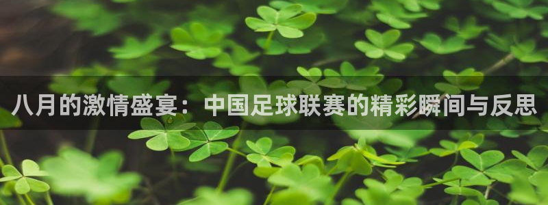 八月的激情盛宴：中国足球联赛的精彩瞬间与反思