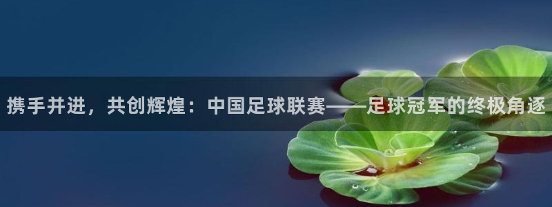  携手并进，共创辉煌：中国足球联赛——足球冠军的终极角逐