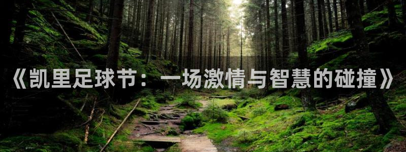  《凯里足球节：一场激情与智慧的碰撞》
