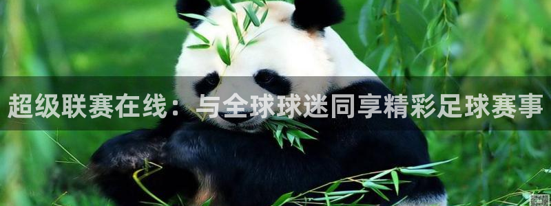 超级联赛在线：与全球球迷同享精彩足球赛事