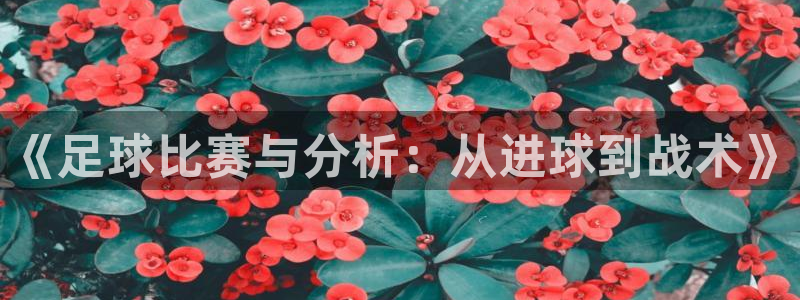 《足球比赛与分析：从进球到战术》