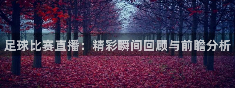  足球比赛直播：精彩瞬间回顾与前瞻分析