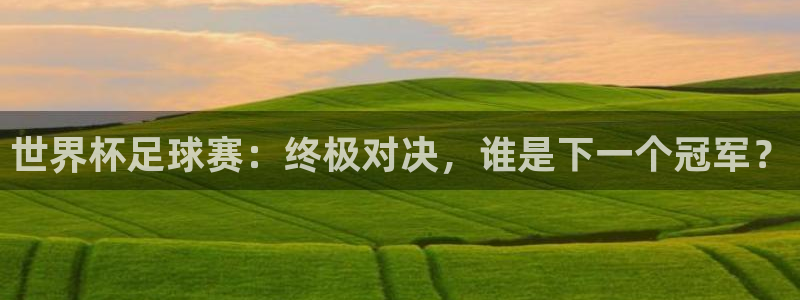 世界杯足球赛：终极对决，谁是下一个冠