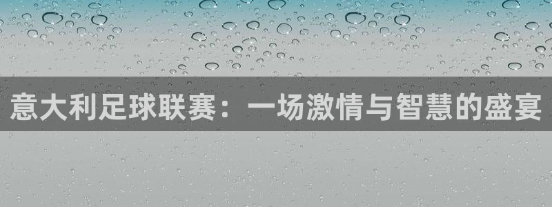 意大利足球联赛：一场激情与智慧的盛宴