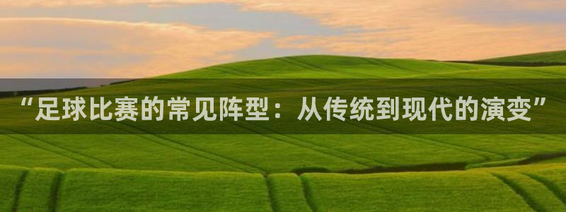 “足球比赛的常见阵型：从传统到现代的