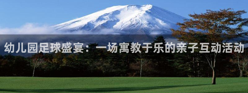 幼儿园足球盛宴：一场寓教于乐的亲子互动活动