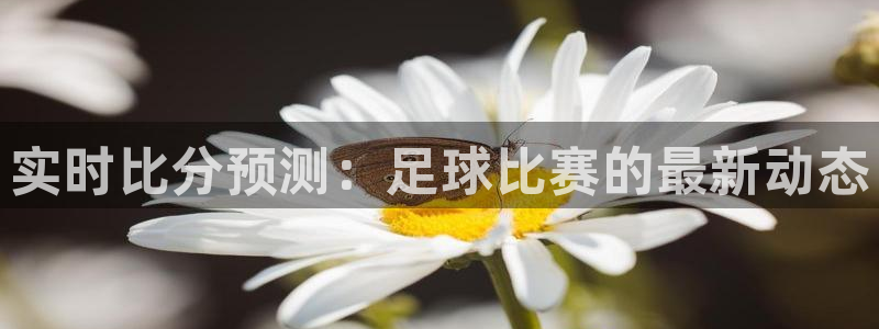 实时比分预测：足球比赛的最新动态