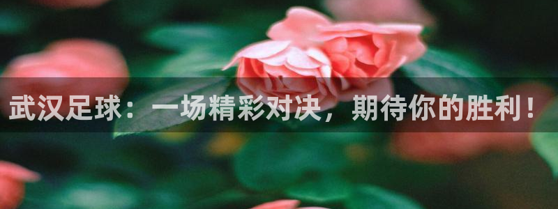  武汉足球：一场精彩对决，期待你的胜利！