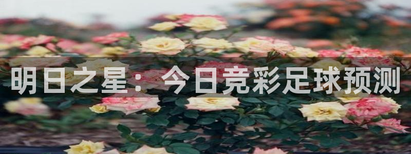  明日之星：今日竞彩足球预测
