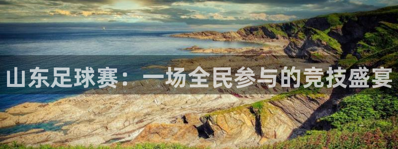 山东足球赛：一场全民参与的竞技盛宴