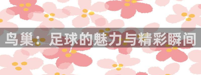 鸟巢：足球的魅力与精彩瞬间