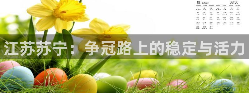 江苏苏宁：争冠路上的稳定与活力